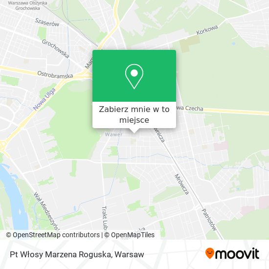 Mapa Pt Włosy Marzena Roguska