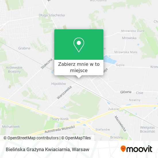 Mapa Bielińska Grażyna Kwiaciarnia