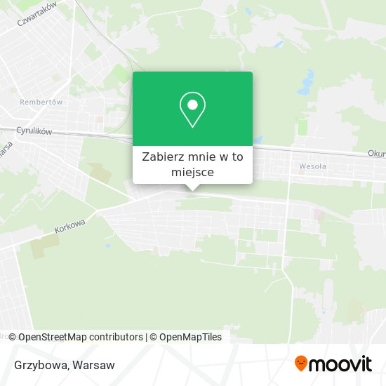 Mapa Grzybowa