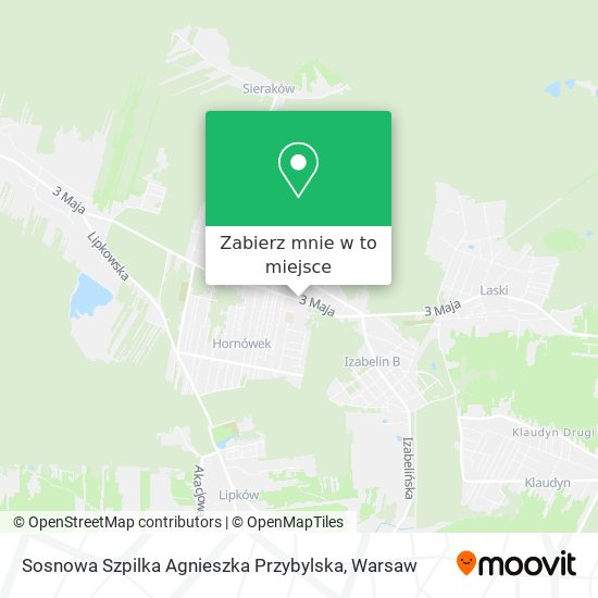 Mapa Sosnowa Szpilka Agnieszka Przybylska