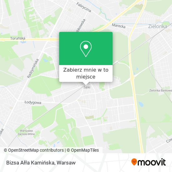 Mapa Bizsa Ałła Kamińska