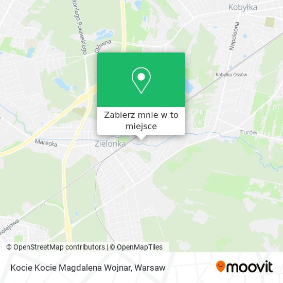 Mapa Kocie Kocie Magdalena Wojnar