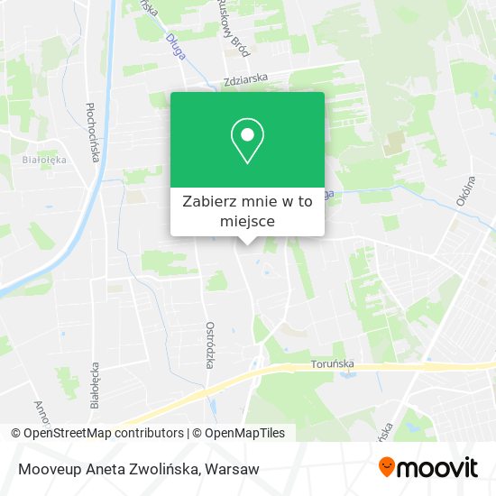 Mapa Mooveup Aneta Zwolińska