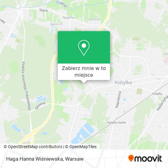 Mapa Haga Hanna Wiśniewska