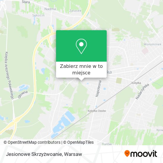 Mapa Jesionowe Skrzyżwoanie