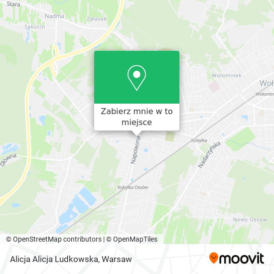 Mapa Alicja Alicja Ludkowska