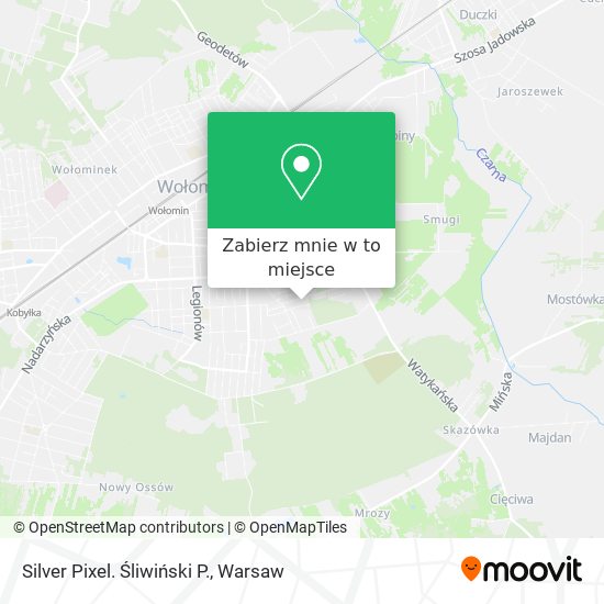 Mapa Silver Pixel. Śliwiński P.