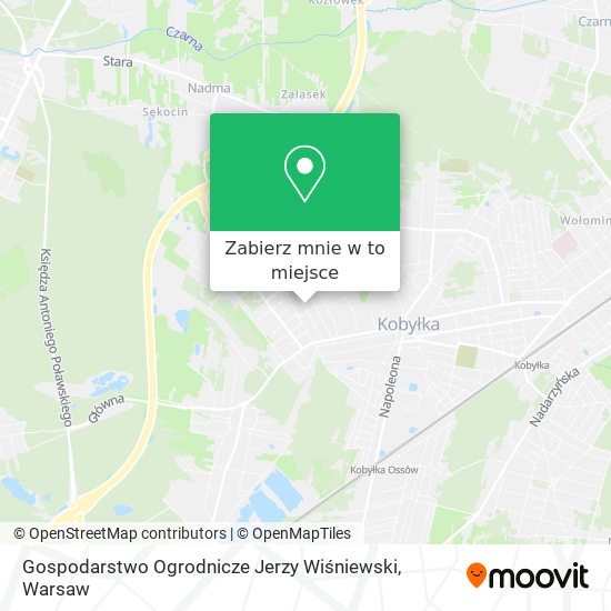 Mapa Gospodarstwo Ogrodnicze Jerzy Wiśniewski