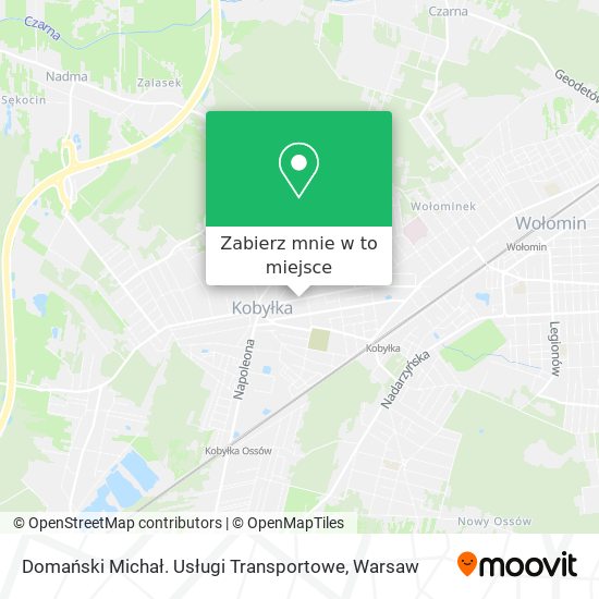 Mapa Domański Michał. Usługi Transportowe