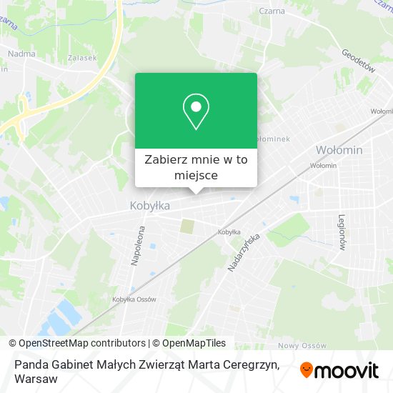 Mapa Panda Gabinet Małych Zwierząt Marta Ceregrzyn