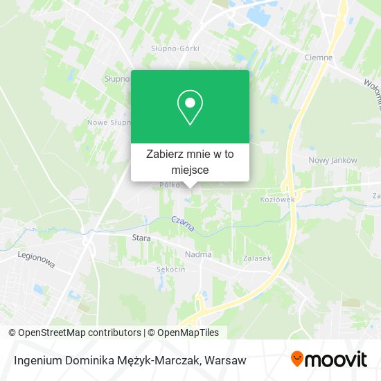 Mapa Ingenium Dominika Mężyk-Marczak