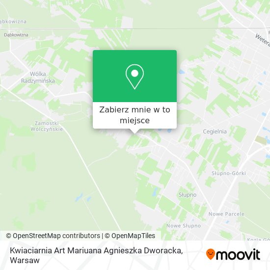 Mapa Kwiaciarnia Art Mariuana Agnieszka Dworacka