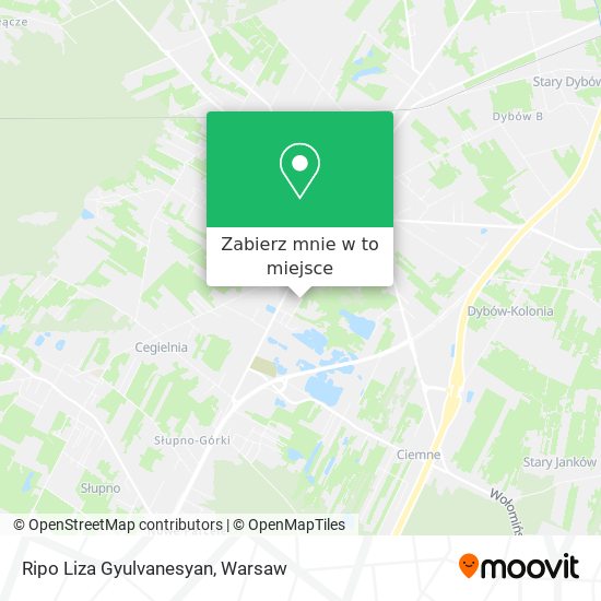 Mapa Ripo Liza Gyulvanesyan