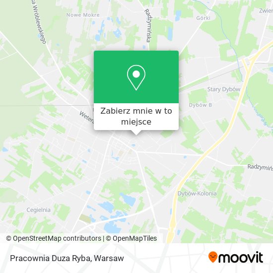 Mapa Pracownia Duza Ryba