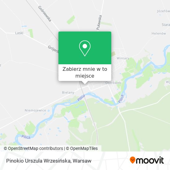 Mapa Pinokio Urszula Wrzesińska