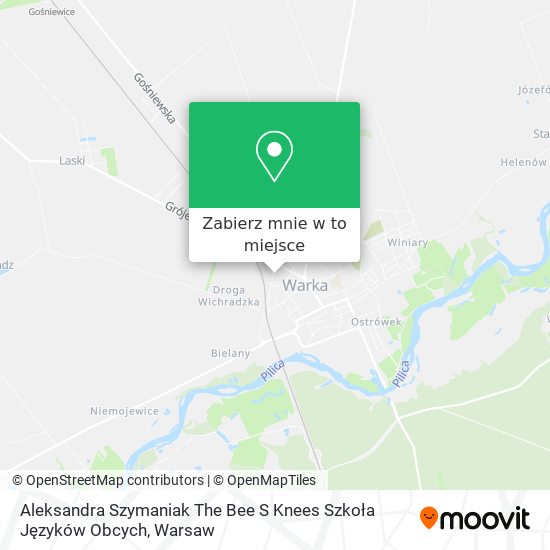 Mapa Aleksandra Szymaniak The Bee S Knees Szkoła Języków Obcych