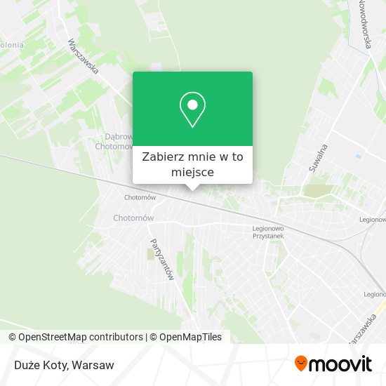 Mapa Duże Koty