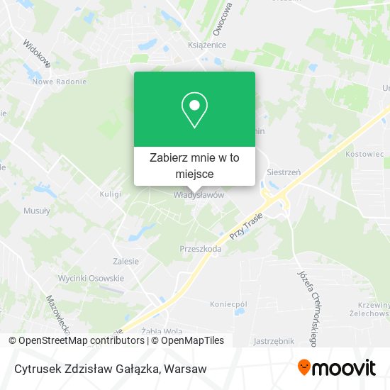 Mapa Cytrusek Zdzisław Gałązka