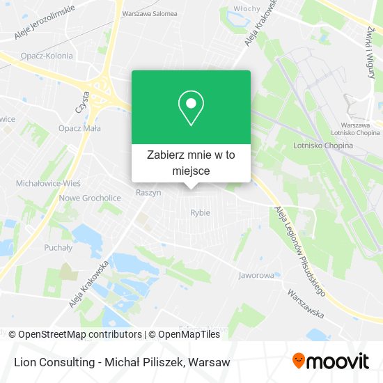 Mapa Lion Consulting - Michał Piliszek