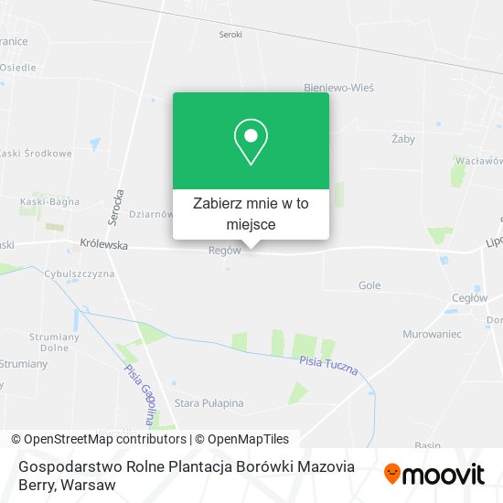 Mapa Gospodarstwo Rolne Plantacja Borówki Mazovia Berry