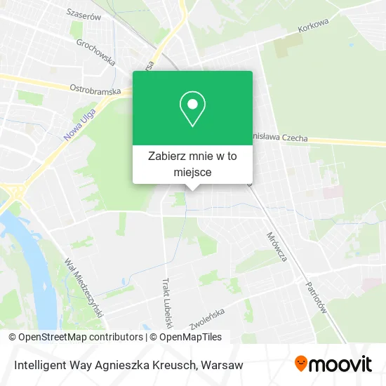 Mapa Intelligent Way Agnieszka Kreusch