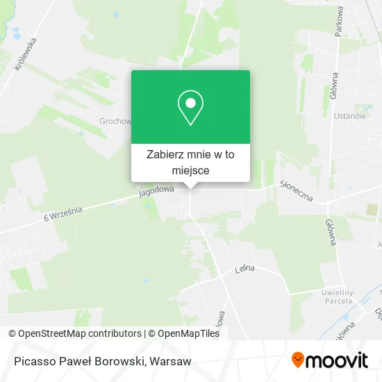 Mapa Picasso Paweł Borowski