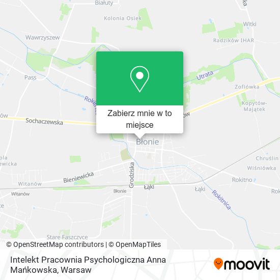 Mapa Intelekt Pracownia Psychologiczna Anna Mańkowska