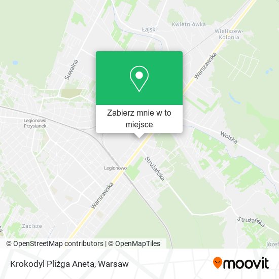 Mapa Krokodyl Pliżga Aneta