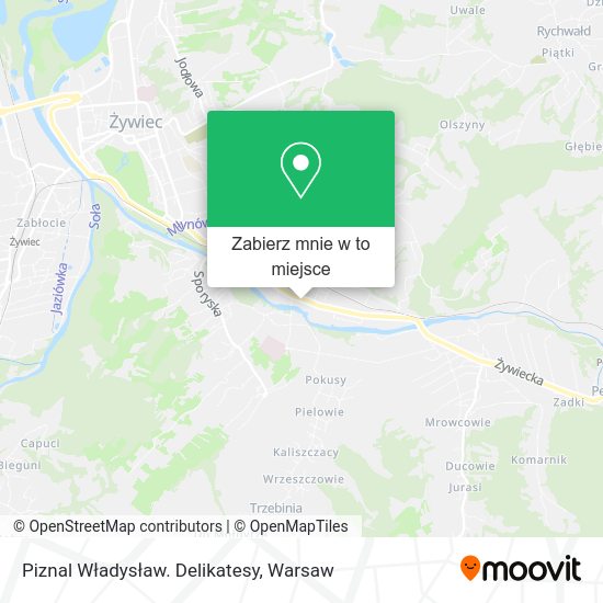 Mapa Piznal Władysław. Delikatesy