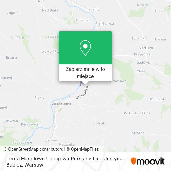 Mapa Firma Handlowo Uslugowa Rumiane Lico Justyna Babicz