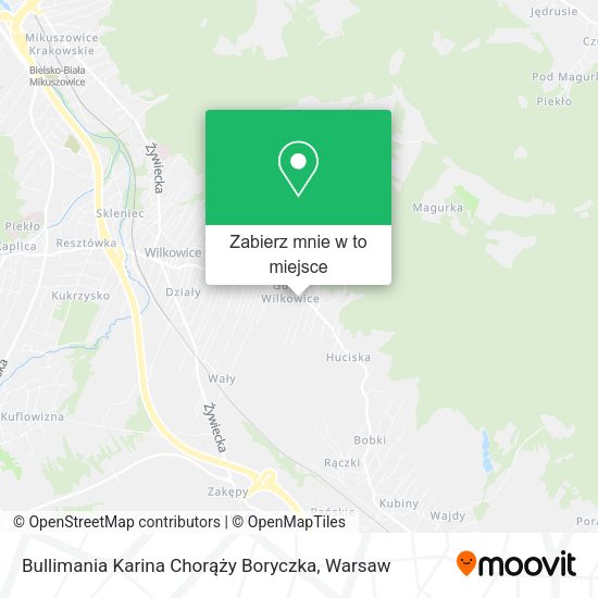 Mapa Bullimania Karina Chorąży Boryczka