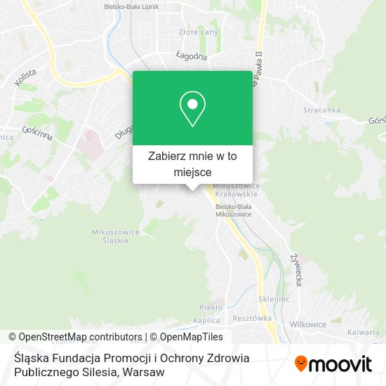 Mapa Śląska Fundacja Promocji i Ochrony Zdrowia Publicznego Silesia