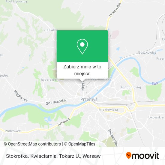 Mapa Stokrotka. Kwiaciarnia. Tokarz U.