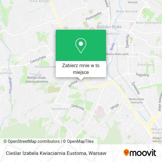 Mapa Cieślar Izabela Kwiaciarnia Eustoma