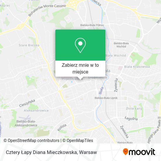 Mapa Cztery Łapy Diana Mieczkowska