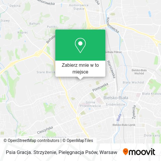 Mapa Psia Gracja. Strzyżenie, Pielęgnacja Psów