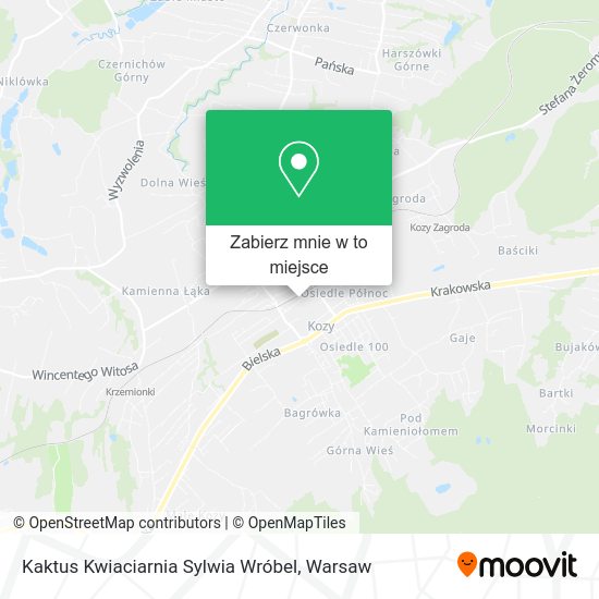 Mapa Kaktus Kwiaciarnia Sylwia Wróbel