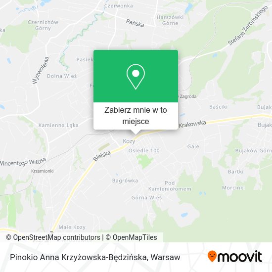 Mapa Pinokio Anna Krzyżowska-Będzińska