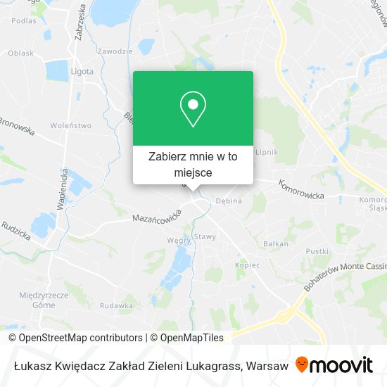 Mapa Łukasz Kwiędacz Zakład Zieleni Lukagrass