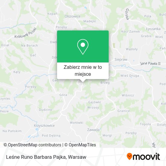 Mapa Leśne Runo Barbara Pajka