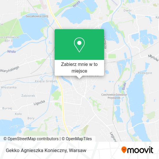 Mapa Gekko Agnieszka Konieczny