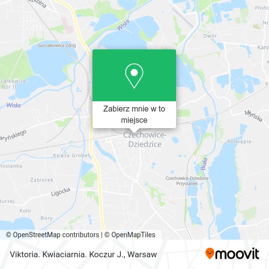 Mapa Viktoria. Kwiaciarnia. Koczur J.