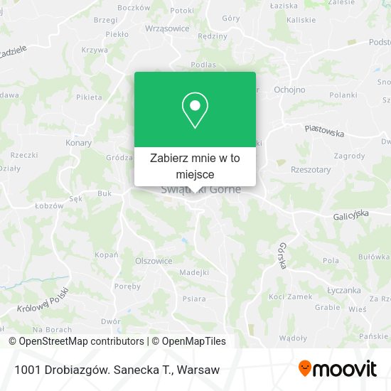 Mapa 1001 Drobiazgów. Sanecka T.