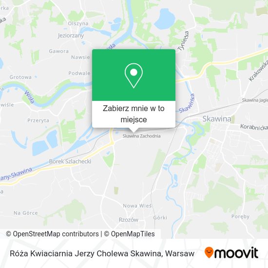 Mapa Róża Kwiaciarnia Jerzy Cholewa Skawina