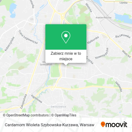 Mapa Cardamom Wioleta Szybowska-Kurzawa