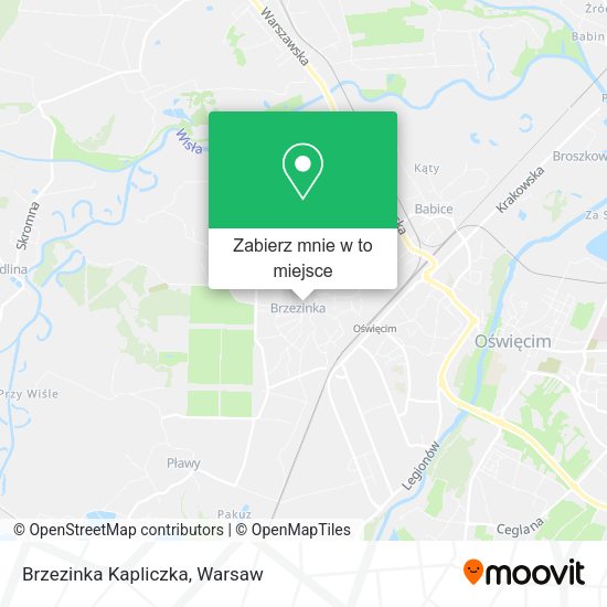 Mapa Brzezinka Kapliczka