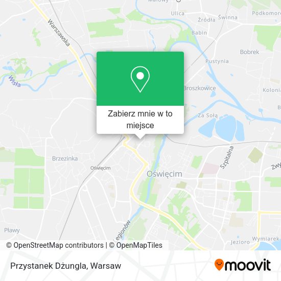 Mapa Przystanek Dżungla