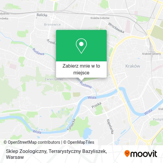 Mapa Sklep Zoologiczny, Terrarystyczny Bazyliszek