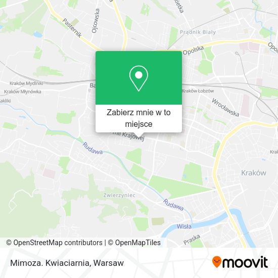 Mapa Mimoza. Kwiaciarnia