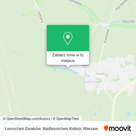 Mapa Lesnictwo Zwaków. Nadlesnictwo Kobiór